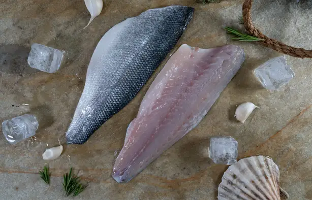 Fresh Fish