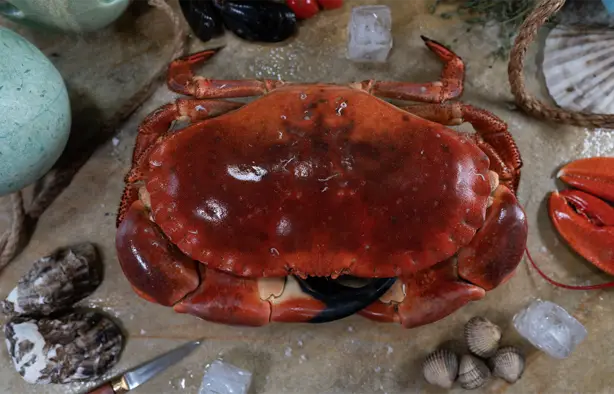 Crab