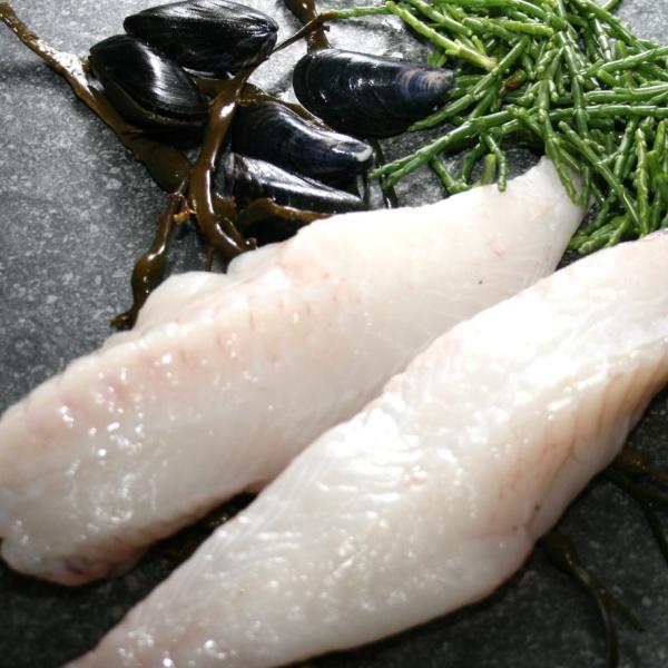 Monkfish Fillet